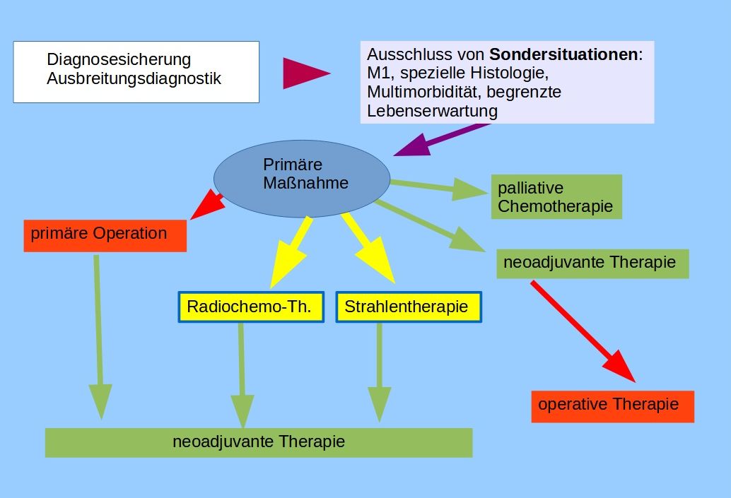 Primärtherapie