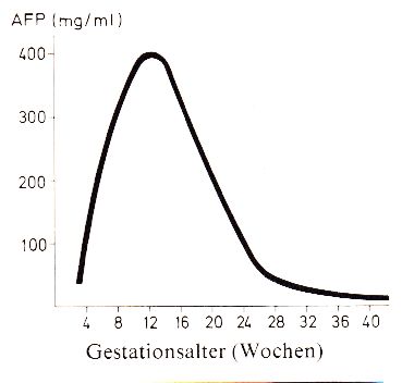 AFP-Gehalt des Embryos