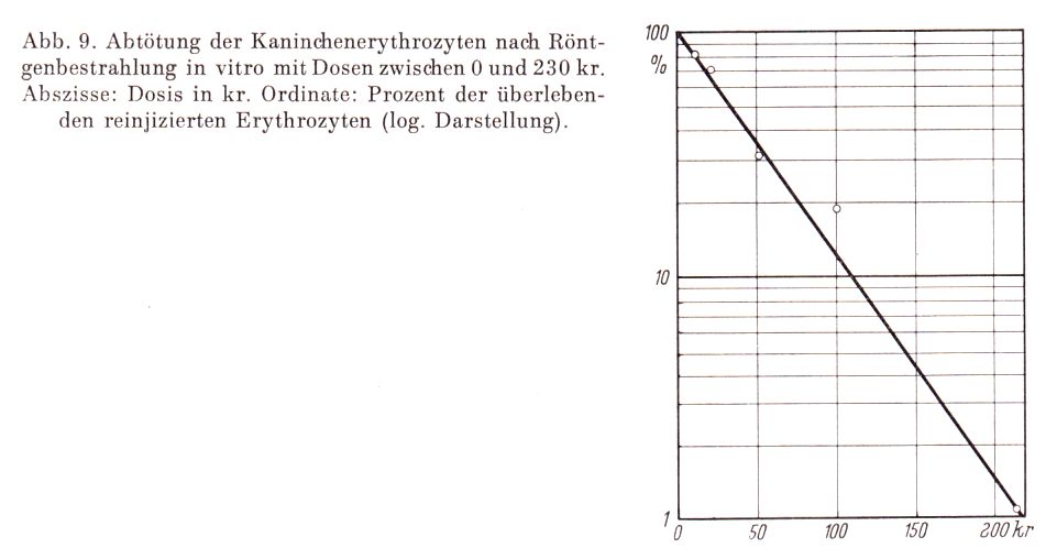 Ery-Bestrahlung