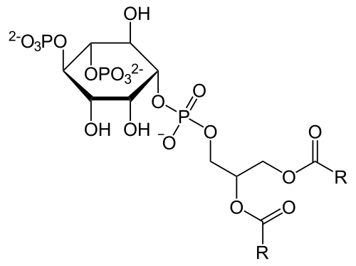 PIP2